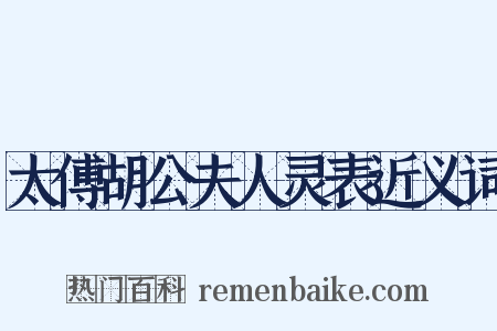 太傅胡公夫人灵表近义词是什么意思的图片